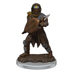 Wizkids D&D Icons of the Realms Human Fighter, Male 2