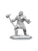 Wizkids D&D Nolzur's Marvelous Miniatures Cyclops