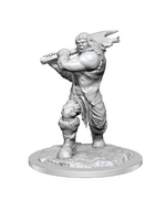 Wizkids D&D Nolzur's Marvelous Miniatures Ogre, Female