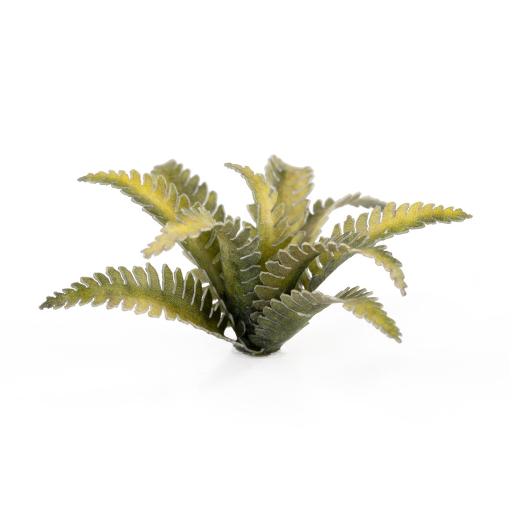 Gamers Grass Laser Plants - Deer Fern