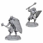 Wizkids D&D Nolzur's Marvelous Miniatures Dragonborn Clerics