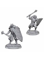 Wizkids D&D Nolzur's Marvelous Miniatures Dragonborn Clerics