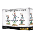 Games Workshop Disciples of Tzeentch Tzaangor Enlightened