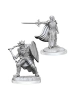 Wizkids D&D Nolzur's Marvelous Miniatures Death Knights