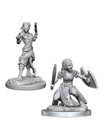 Wizkids D&D Nolzur's Marvelous Miniatures Shifter Fighter