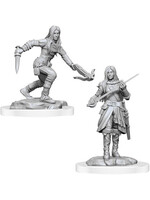 Wizkids D&D Nolzur's Marvelous Miniatures Half-Elf Rogues Female 2