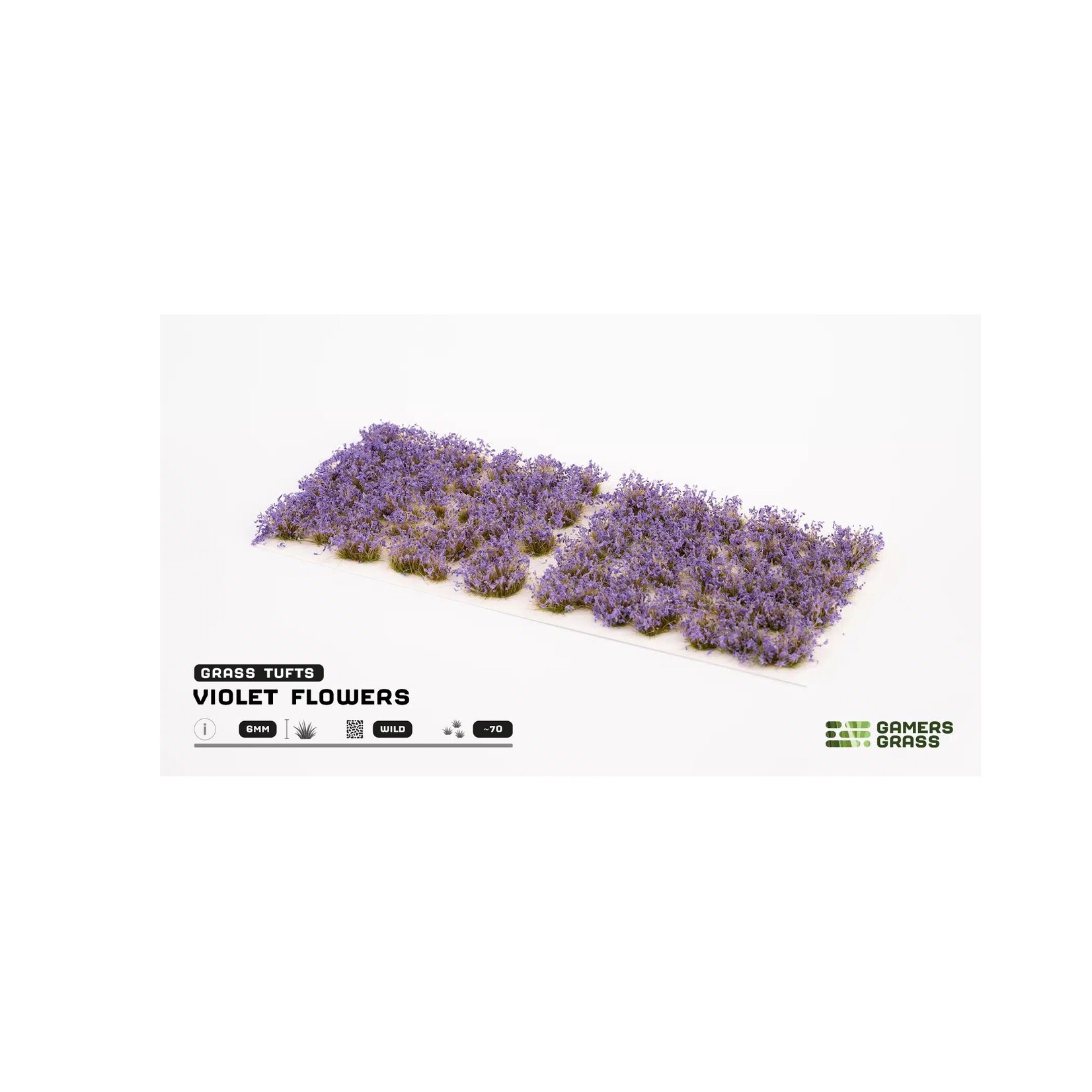 Gamers Grass Violet Flowers Wild