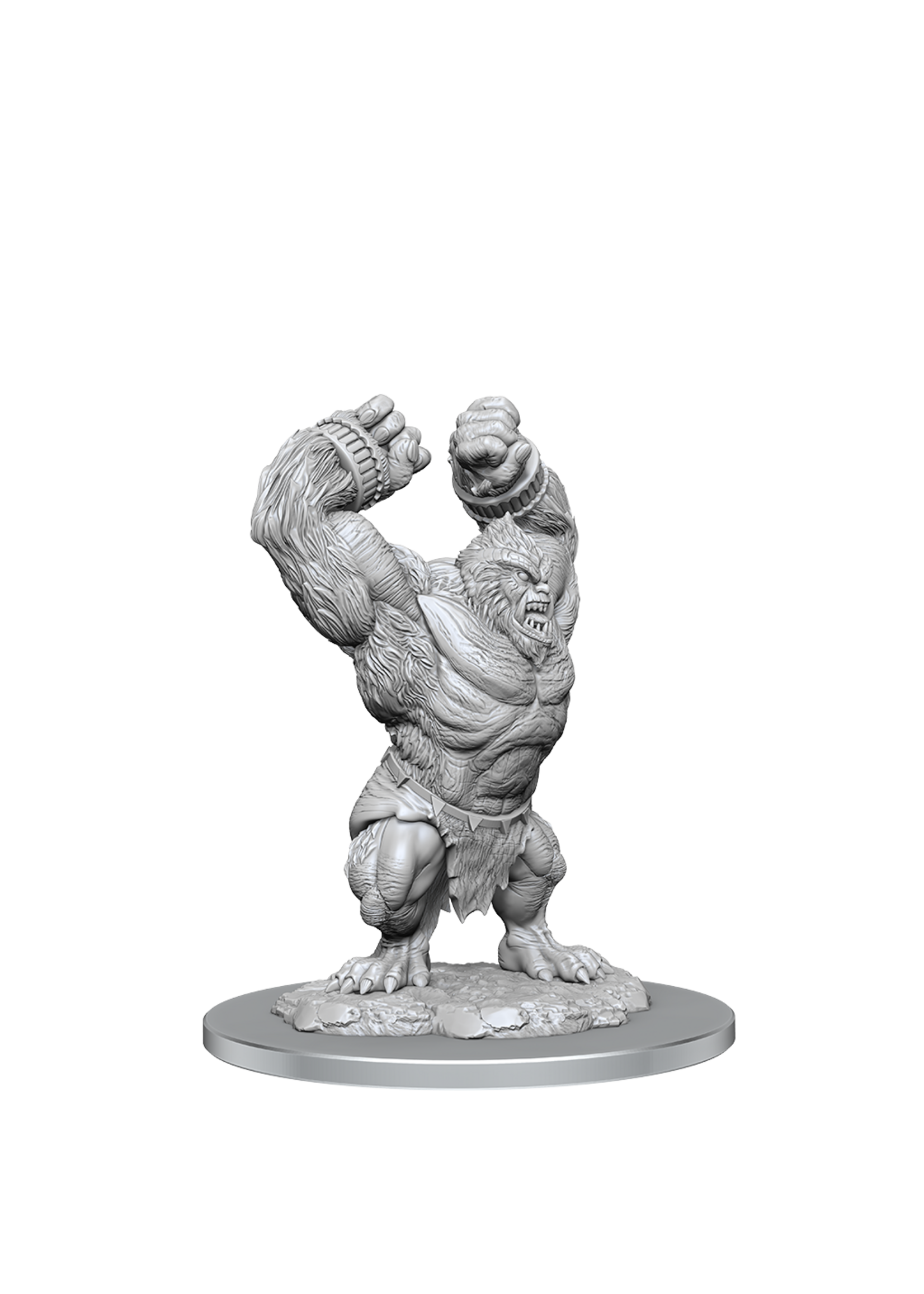 Wizkids D&D Nolzur's Marvelous Miniatures Barlgura