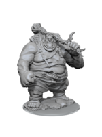 Wizkids D&D Nolzur's Marvelous Miniatures Hill Giant