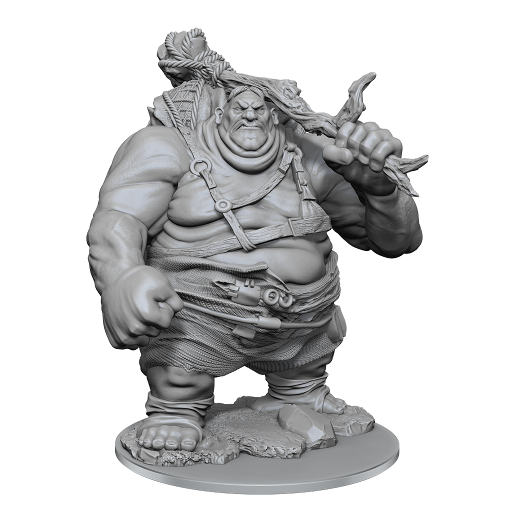 Wizkids D&D Nolzur's Marvelous Miniatures Hill Giant