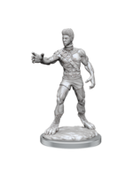 Wizkids D&D Nolzur's Marvelous Miniatures Headless Monster