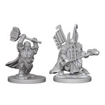 Wizkids D&D Nolzur's Marvelous Miniatures Dwarf Paladin Male