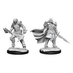 Wizkids D&D Nolzur's Marvelous Miniatures Dragonborn Fighter Female