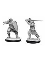 Wizkids D&D Nolzur's Marvelous Miniatures Human Paladin Male 4