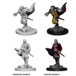 Wizkids D&D Nolzur's Marvelous Miniatures Vampires