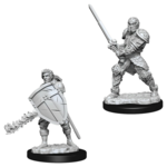 Wizkids D&D Nolzur's Marvelous Miniatures Human Fighter Male