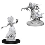 Wizkids D&D Nolzur's Marvelous Miniatures Wraith & Specter