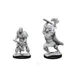 Wizkids D&D Nolzur's Marvelous Miniatures Goliath Barbarian Male