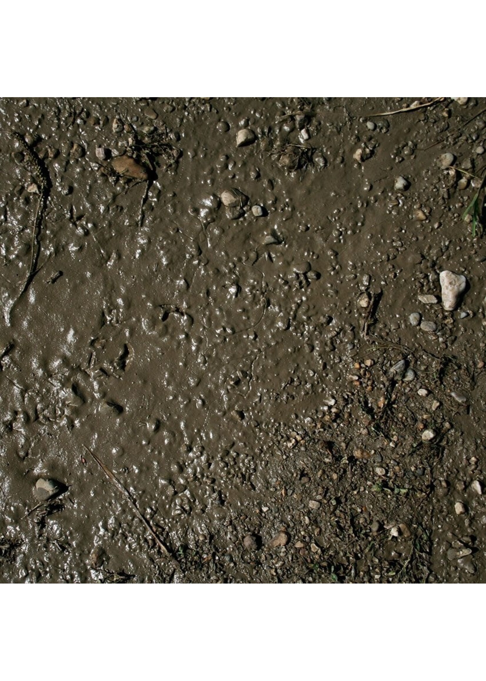 AK Interactive AK Terrains Wet Ground 250ml