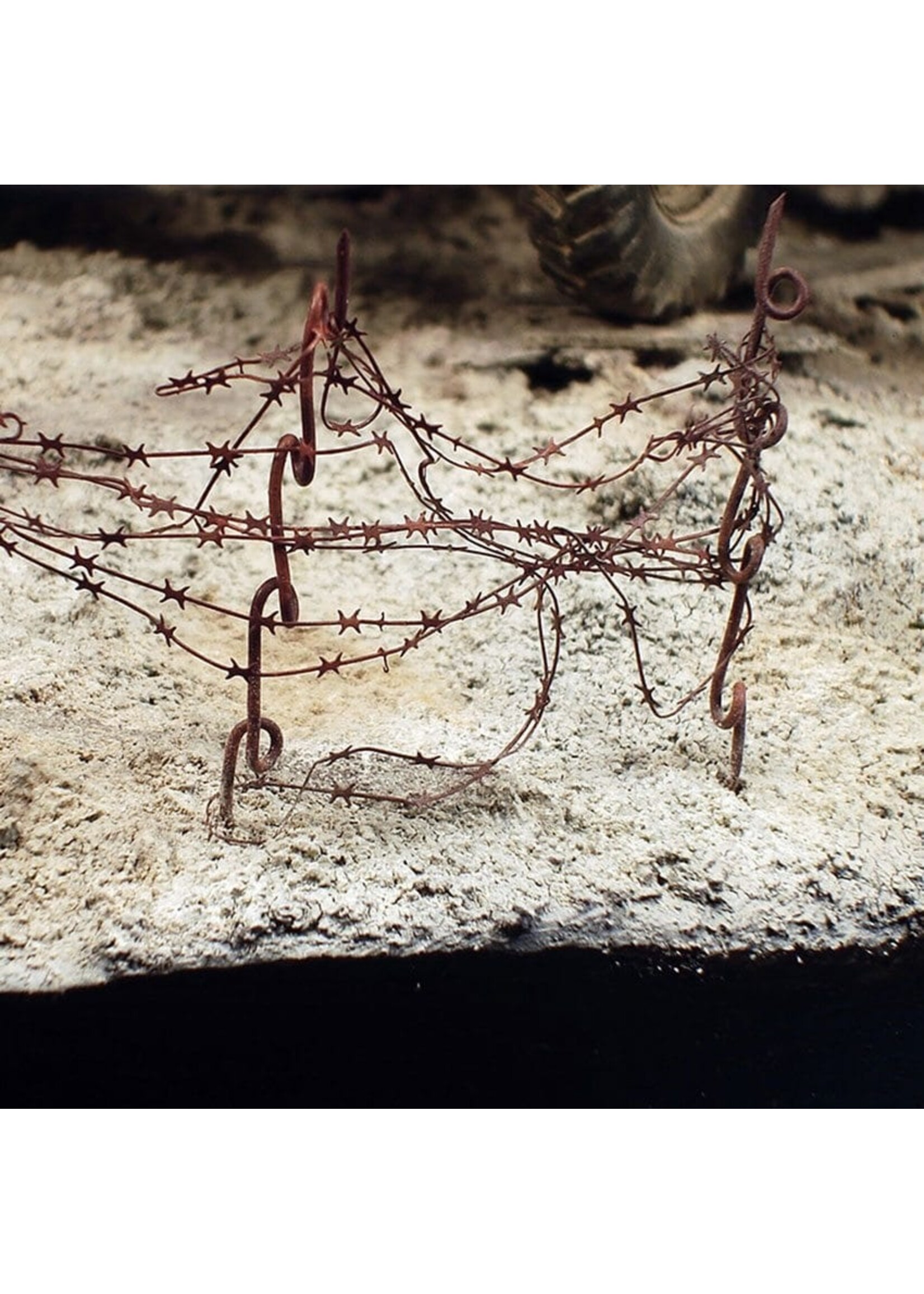 AK Interactive AK Terrains Dry Ground 250ml