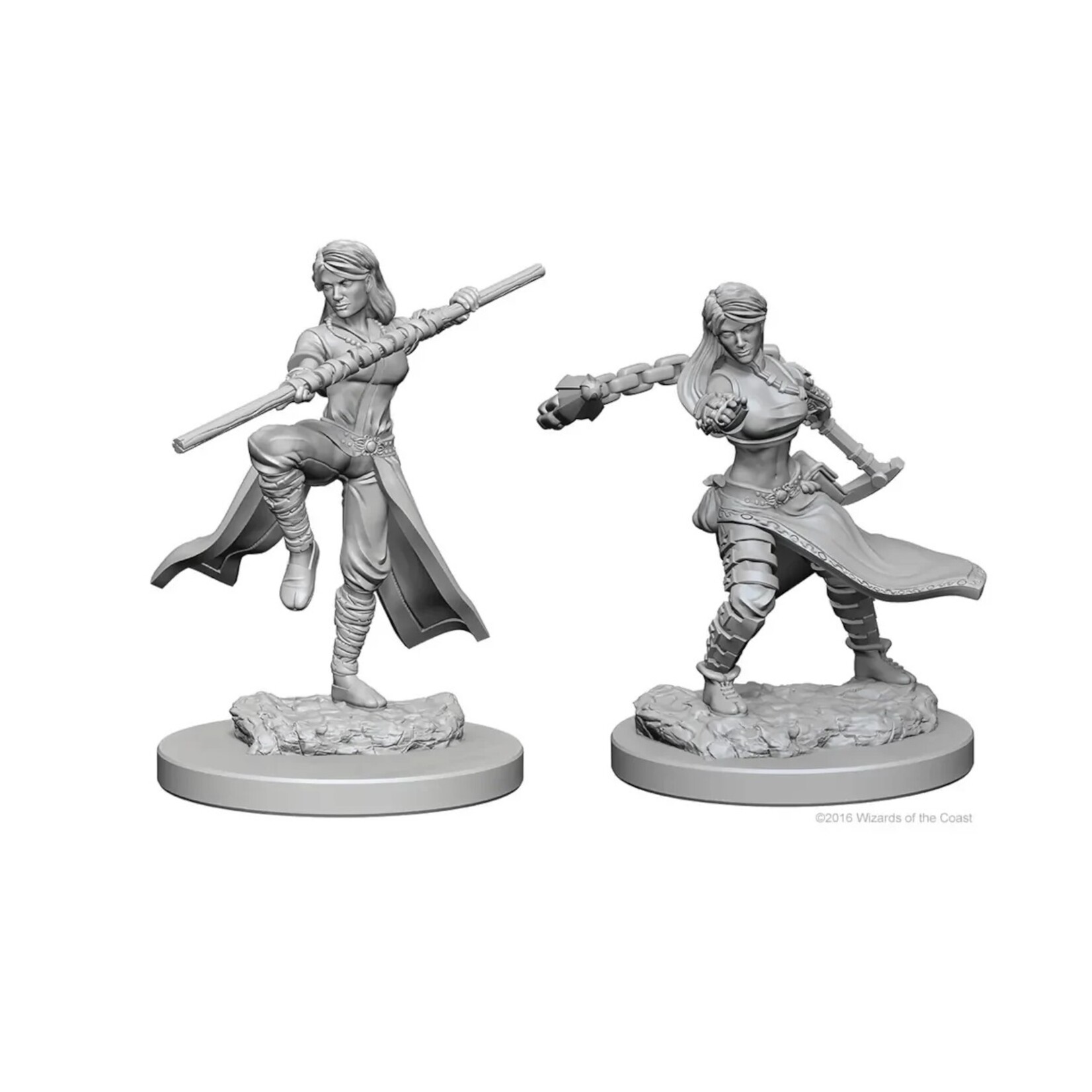 Wizkids D&D Nolzur's Marvelous Miniatures Human Monk Female