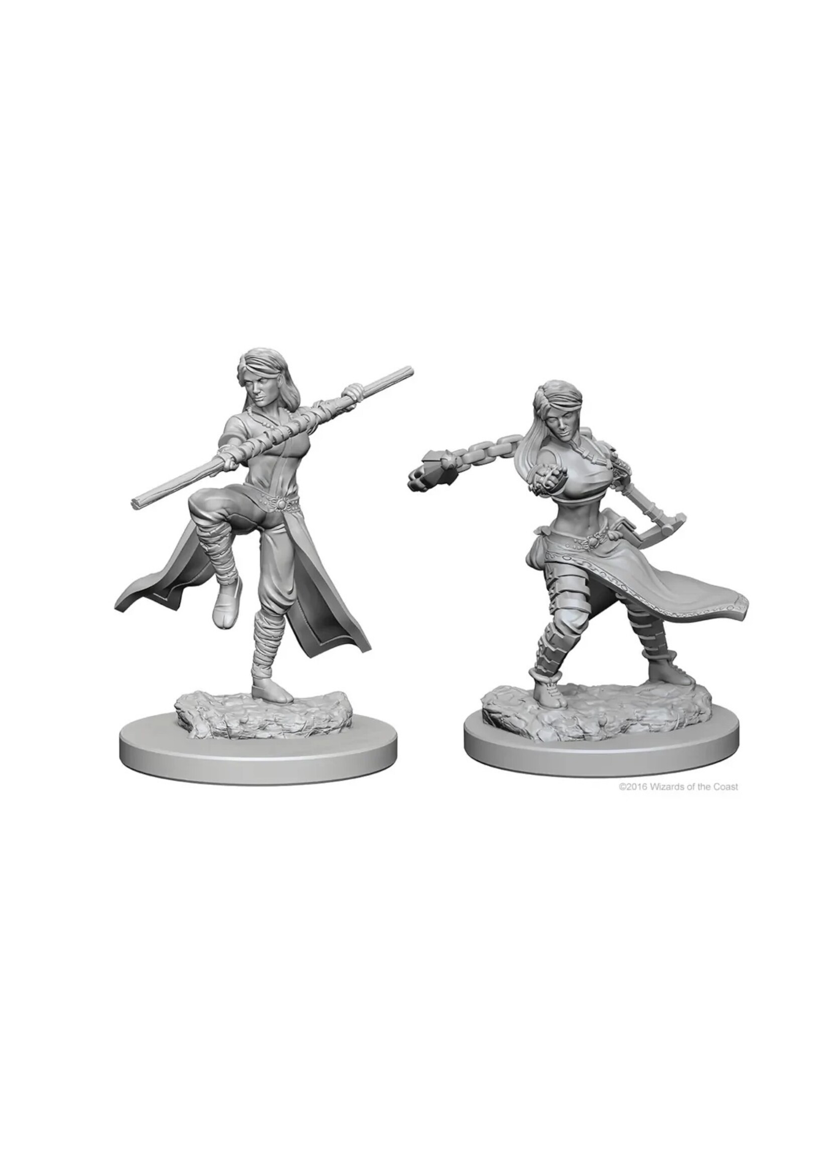 Wizkids D&D Nolzur's Marvelous Miniatures Human Monk Female