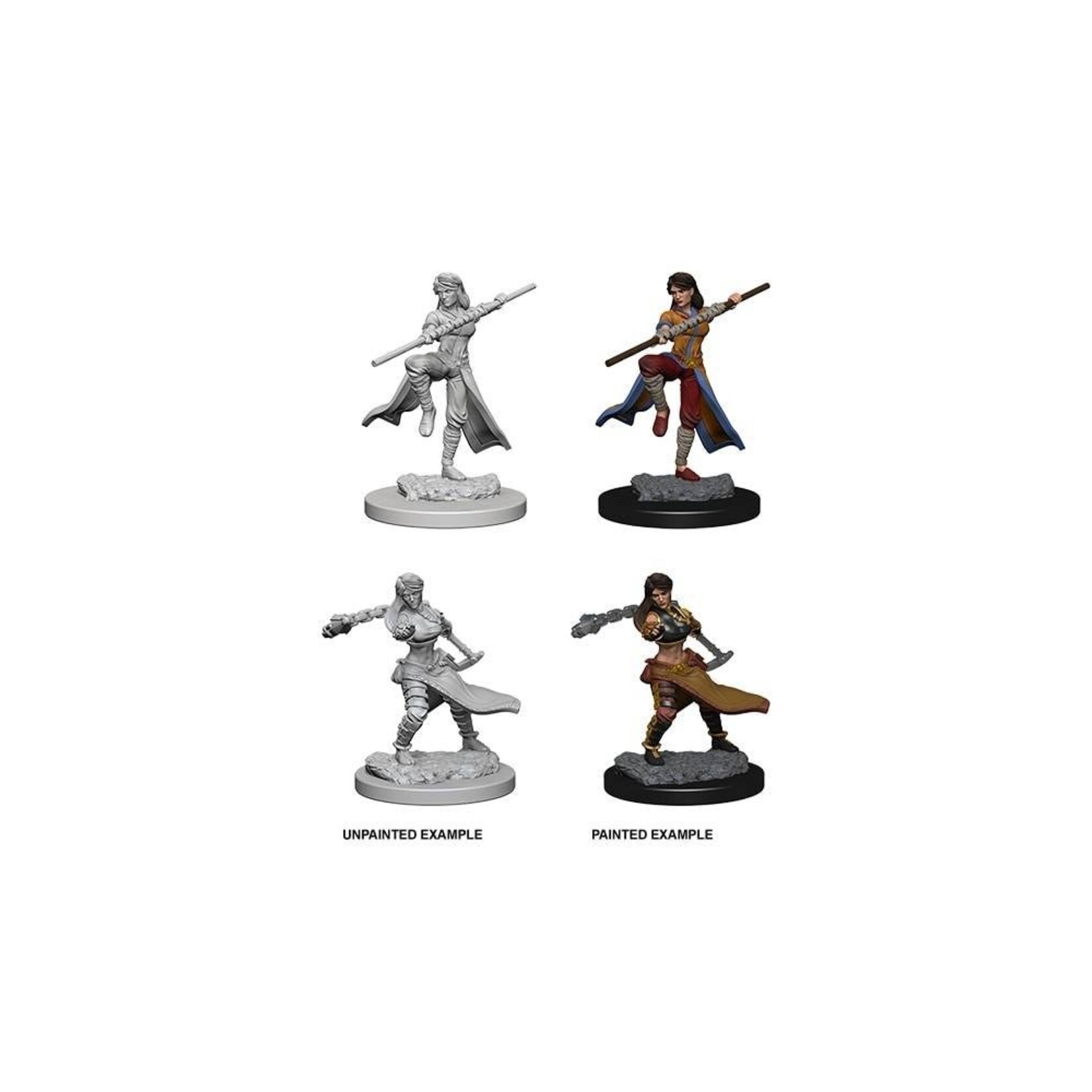 Wizkids D&D Nolzur's Marvelous Miniatures Human Monk Female