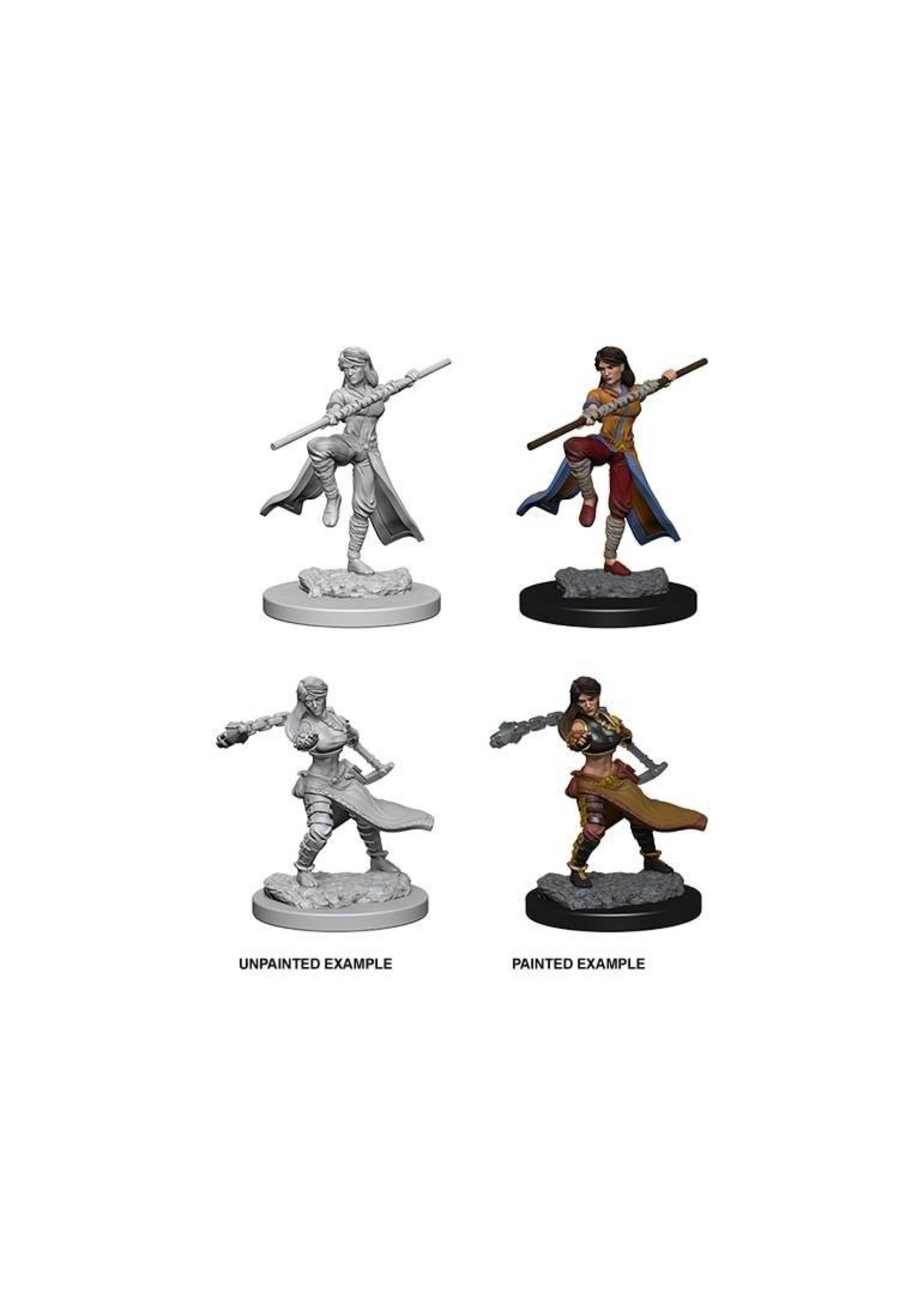 Wizkids D&D Nolzur's Marvelous Miniatures Human Monk Female