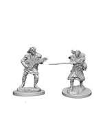Wizkids D&D Nolzur's Marvelous Miniatures Human Bard Male