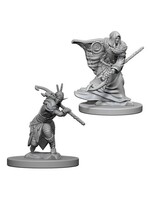 Wizkids D&D Nolzur's Marvelous Miniatures Elf Druid Male