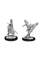 Wizkids D&D Nolzur's Marvelous Miniatures Half-Elf Monk Male