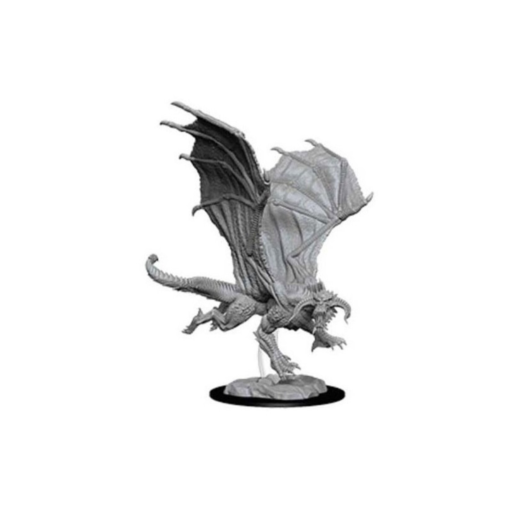 Wizkids D&D Nolzur's Marvelous Miniatures Young Black Dragon