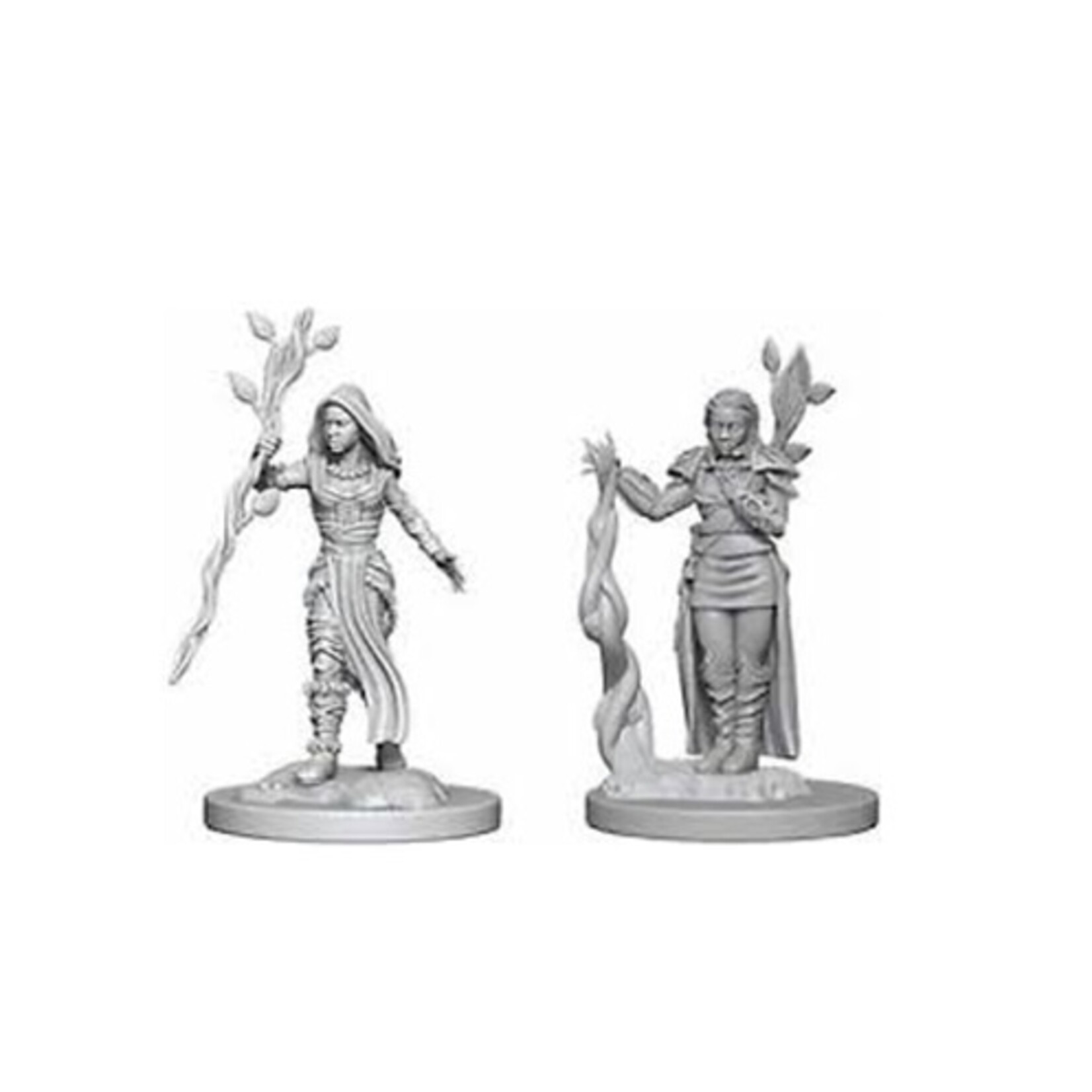 Wizkids D&D Nolzur's Marvelous Miniatures Human Druid Female