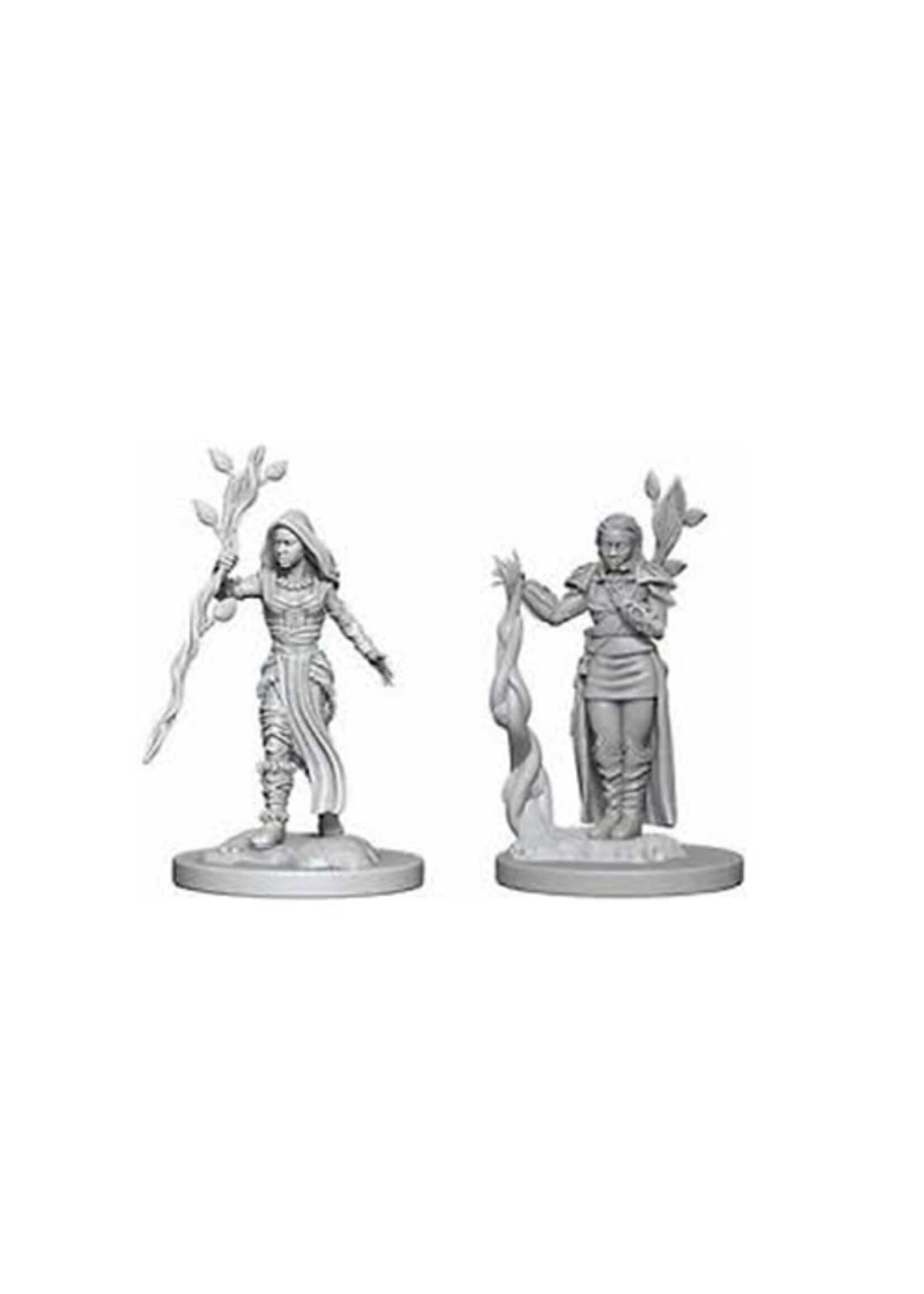 Wizkids D&D Nolzur's Marvelous Miniatures Human Druid Female