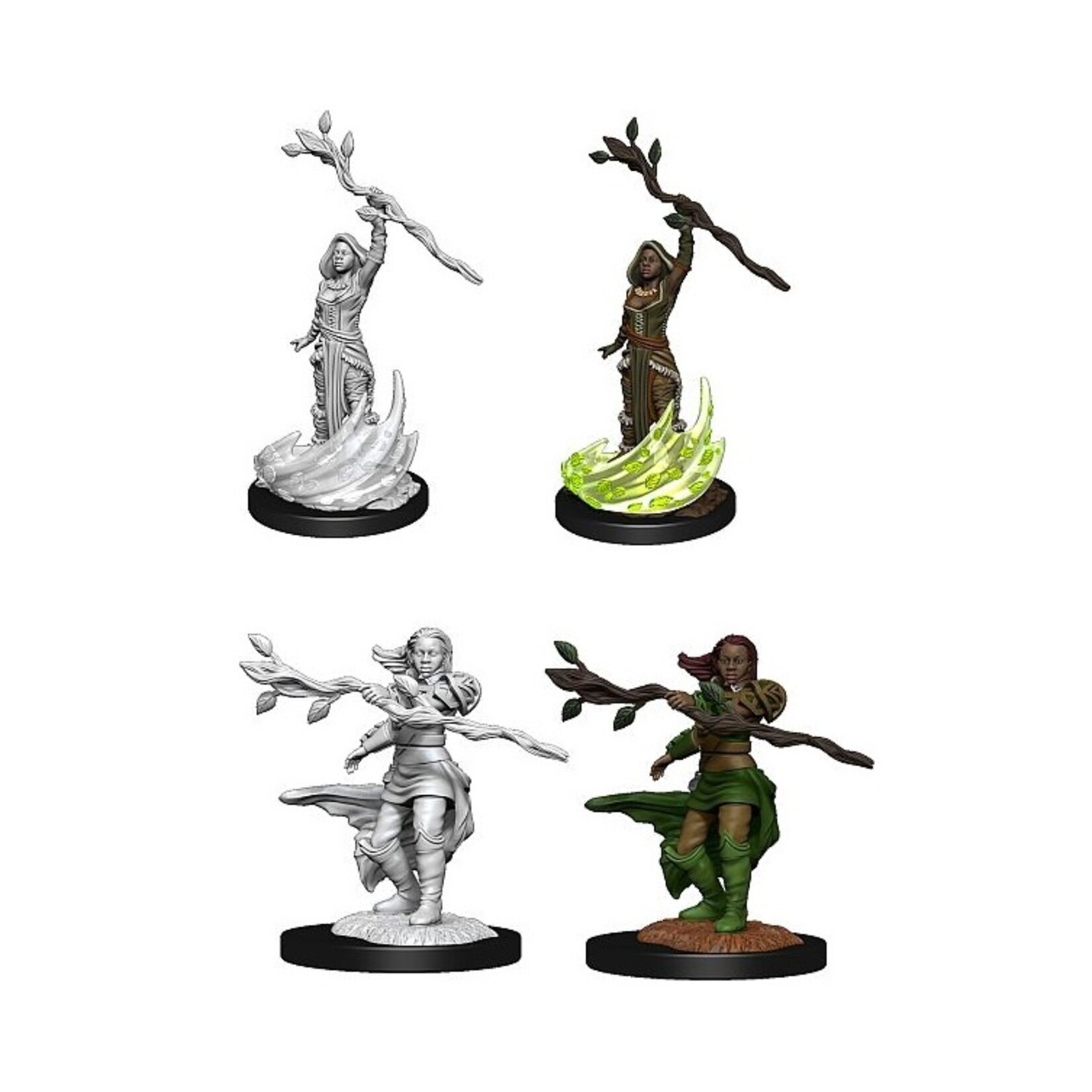 Wizkids D&D Nolzur's Marvelous Miniatures Human Druid Female