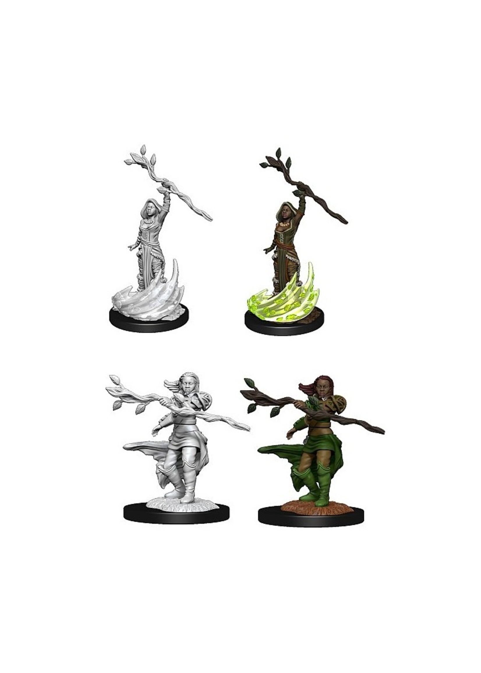 Wizkids D&D Nolzur's Marvelous Miniatures Human Druid Female