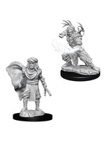 Wizkids D&D Nolzur's Marvelous Miniatures Human Druid Male 2
