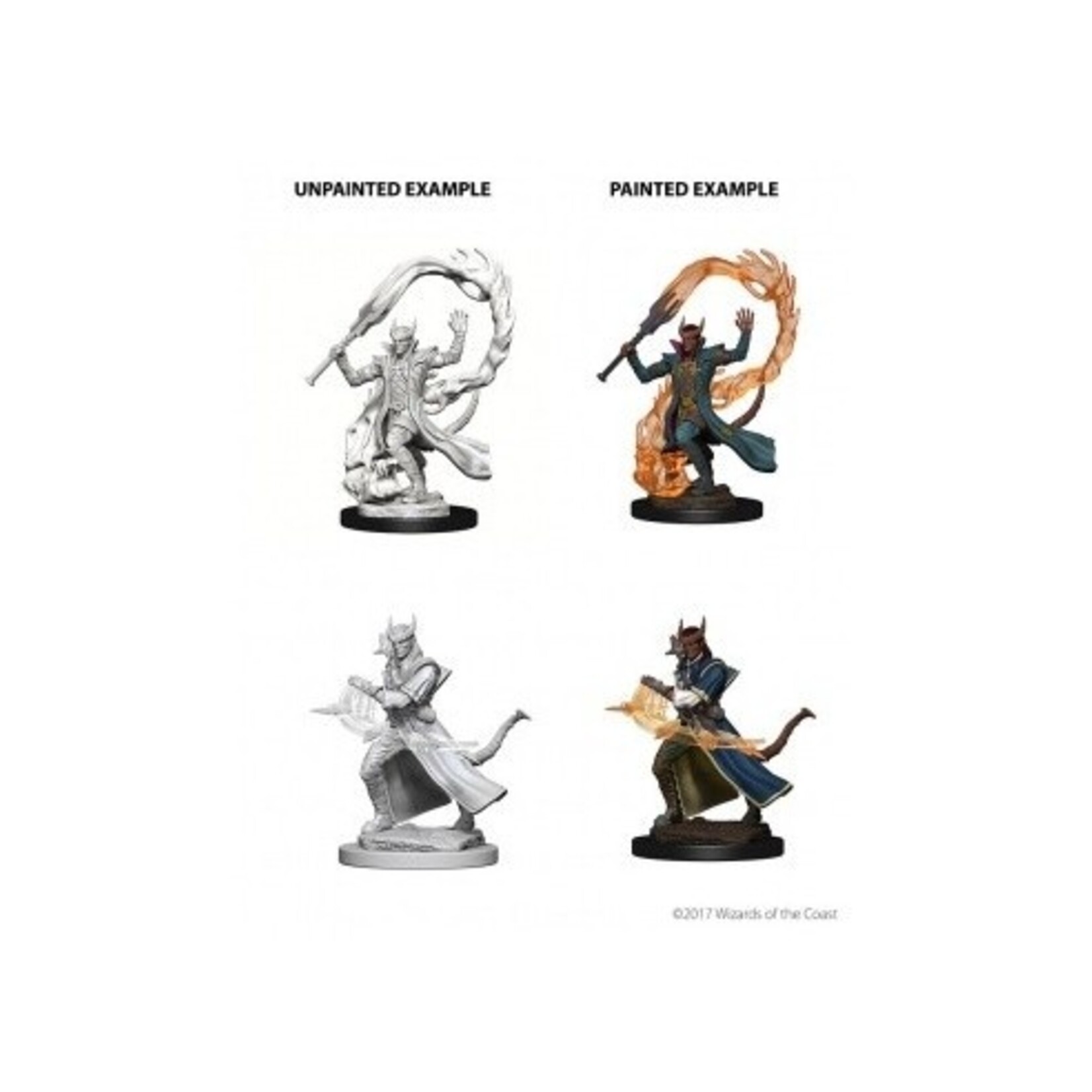 Wizkids D&D Nolzur's Marvelous Miniatures Tiefling Sorcerer Male