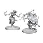 Wizkids D&D Nolzur's Marvelous Miniatures Tiefling Warlock Female