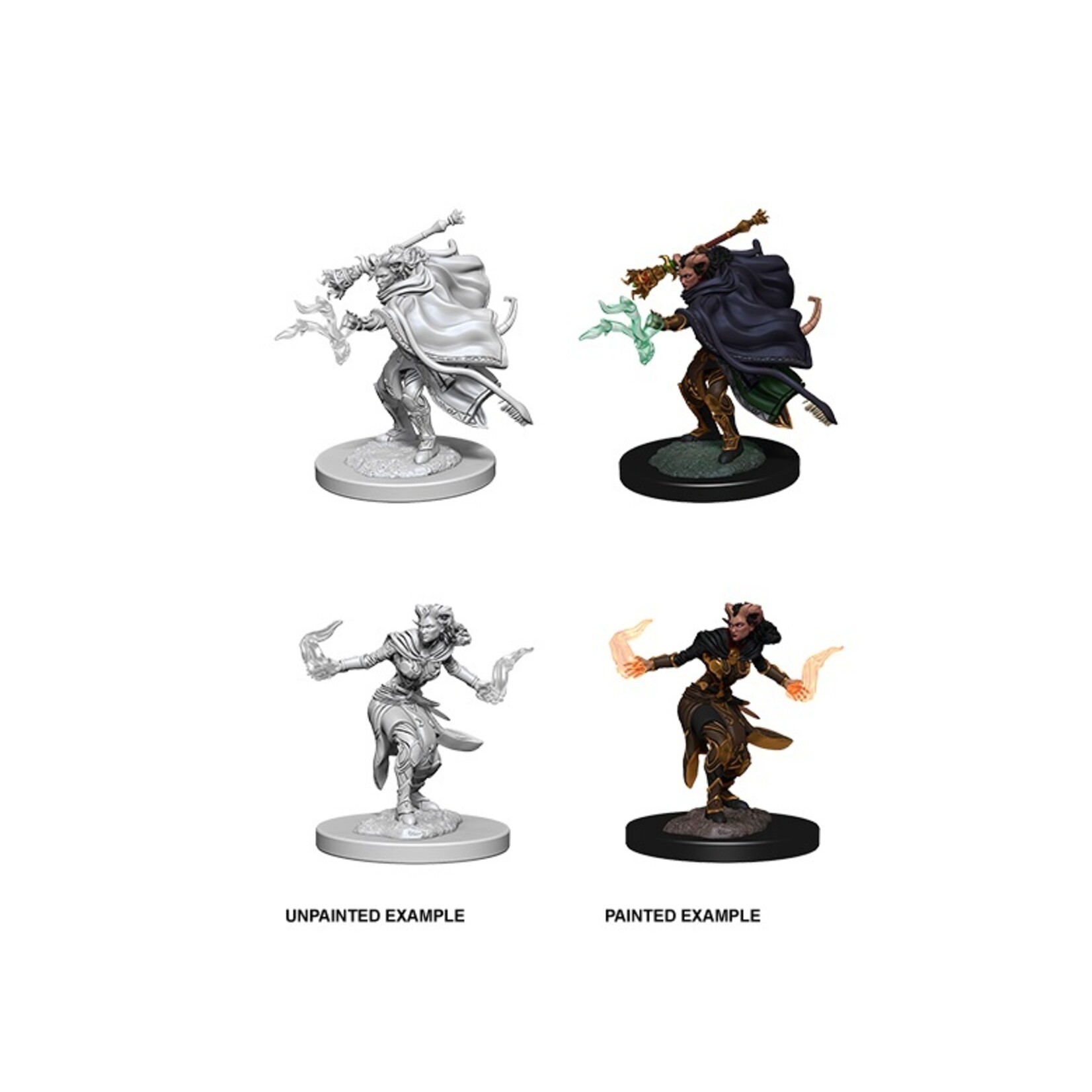 Wizkids D&D Nolzur's Marvelous Miniatures Tiefling Warlock Female