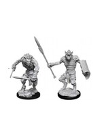 Wizkids D&D Nolzur's Marvelous Miniatures Gnoll and Gnoll Flesh Gnawer