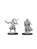 Wizkids D&D Nolzur's Marvelous Miniatures Elf Paladin Male