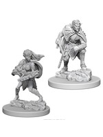 Wizkids D&D Nolzur's Marvelous Miniatures Drow