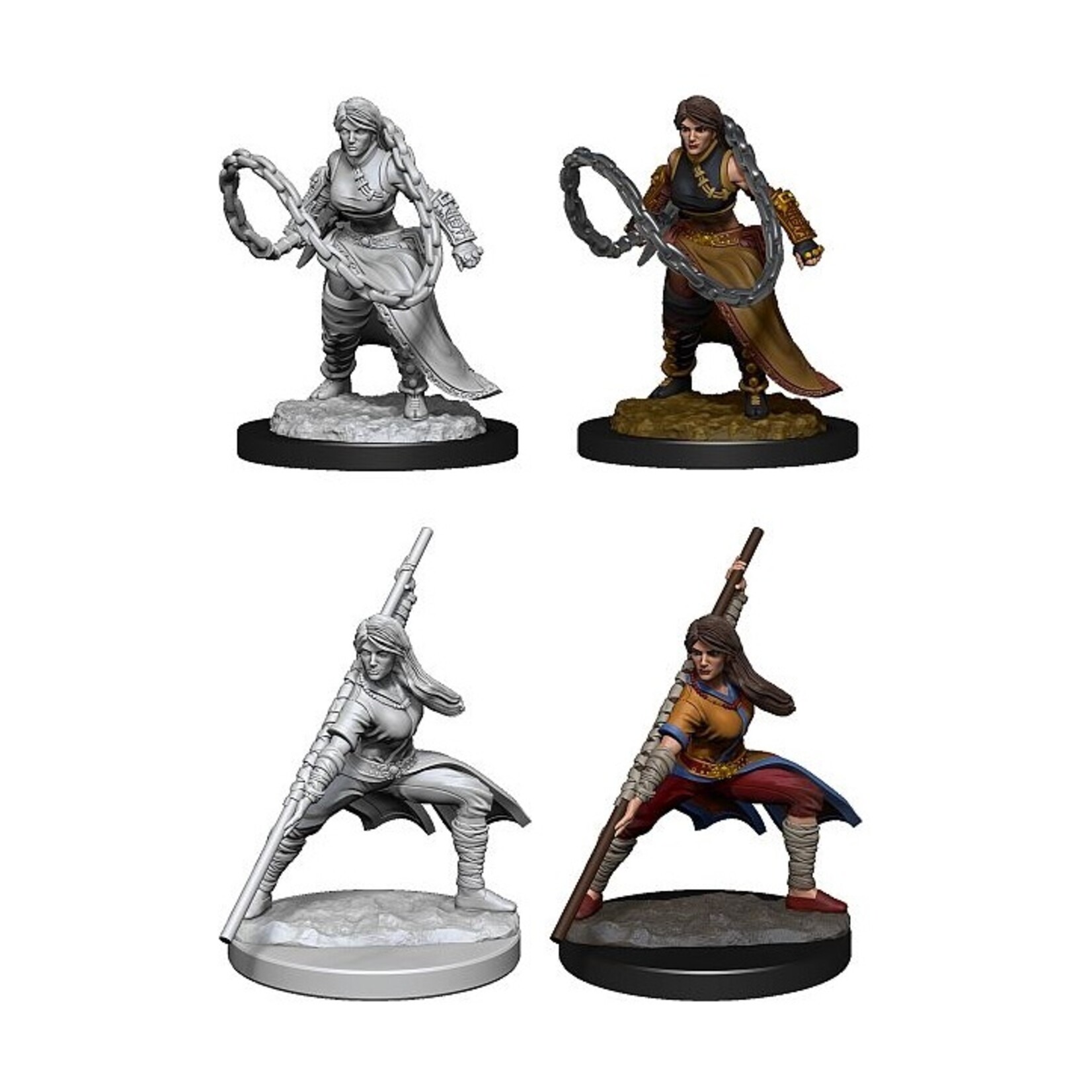 Wizkids D&D Nolzur's Marvelous Miniatures Human Monk Female 2