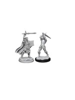Wizkids D&D Nolzur's Marvelous Miniatures Human Paladin Male 2