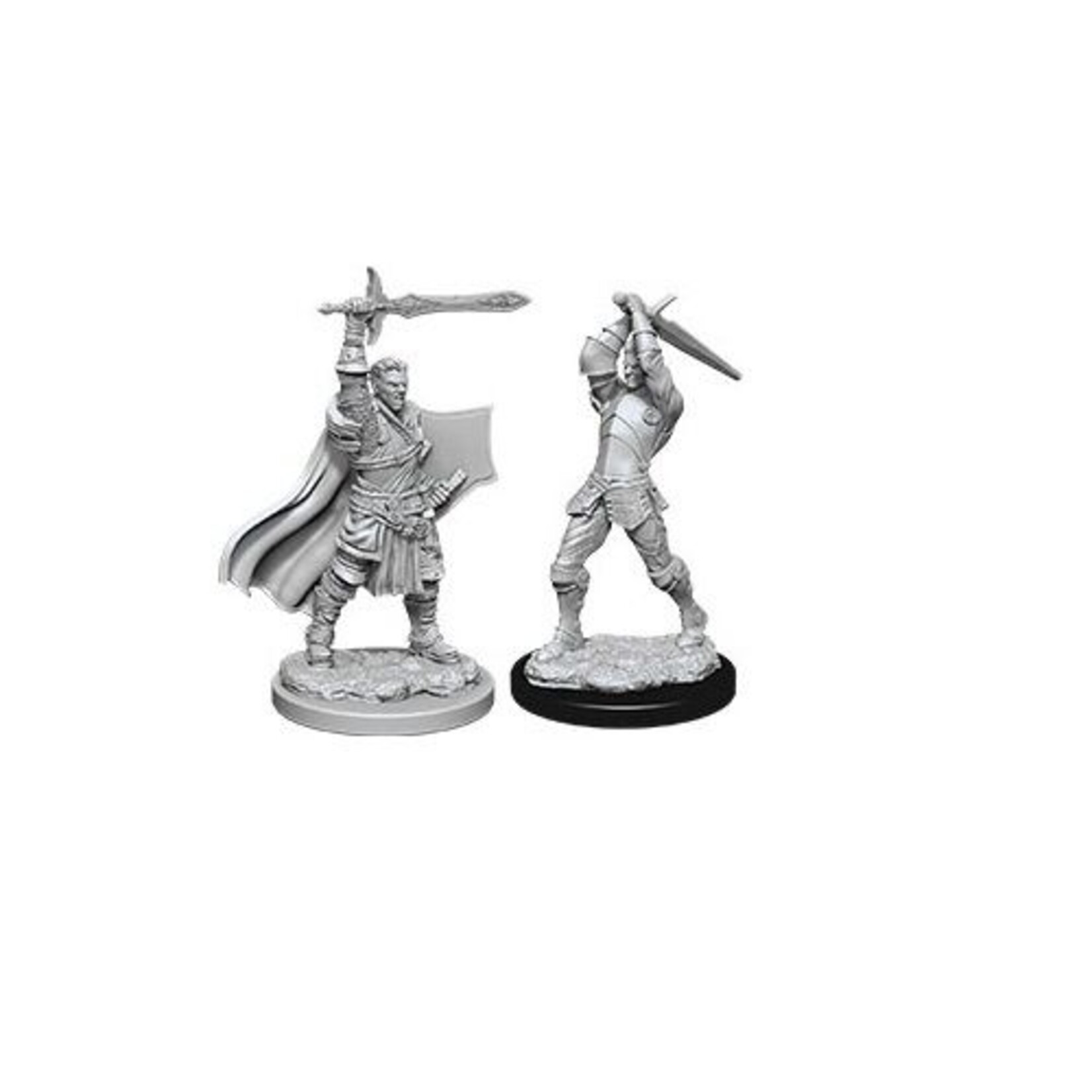 Wizkids D&D Nolzur's Marvelous Miniatures Human Paladin Male 2