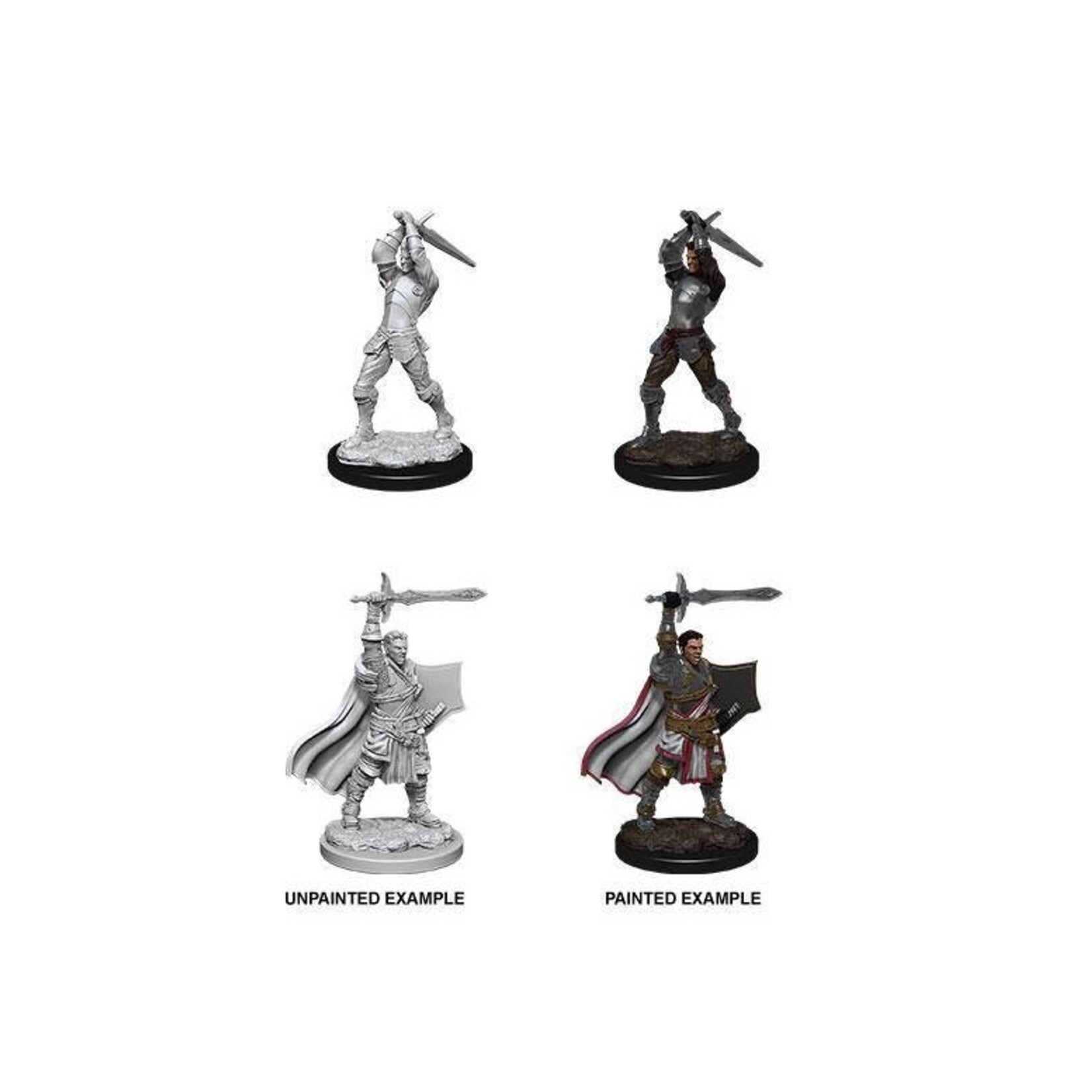 Wizkids D&D Nolzur's Marvelous Miniatures Human Paladin Male 2