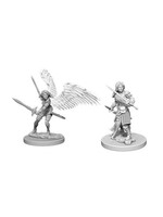 Wizkids D&D Nolzur's Marvelous Miniatures Aasimar Fighter Female