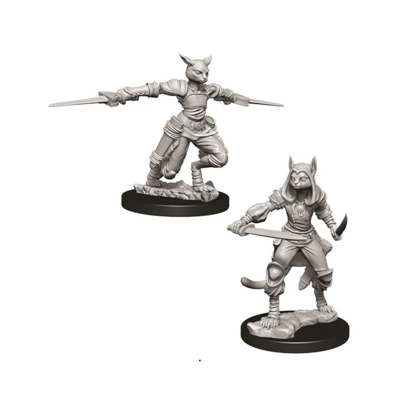 Wizkids D&D Nolzur's Marvelous Miniatures Tabaxi Rogue, Female