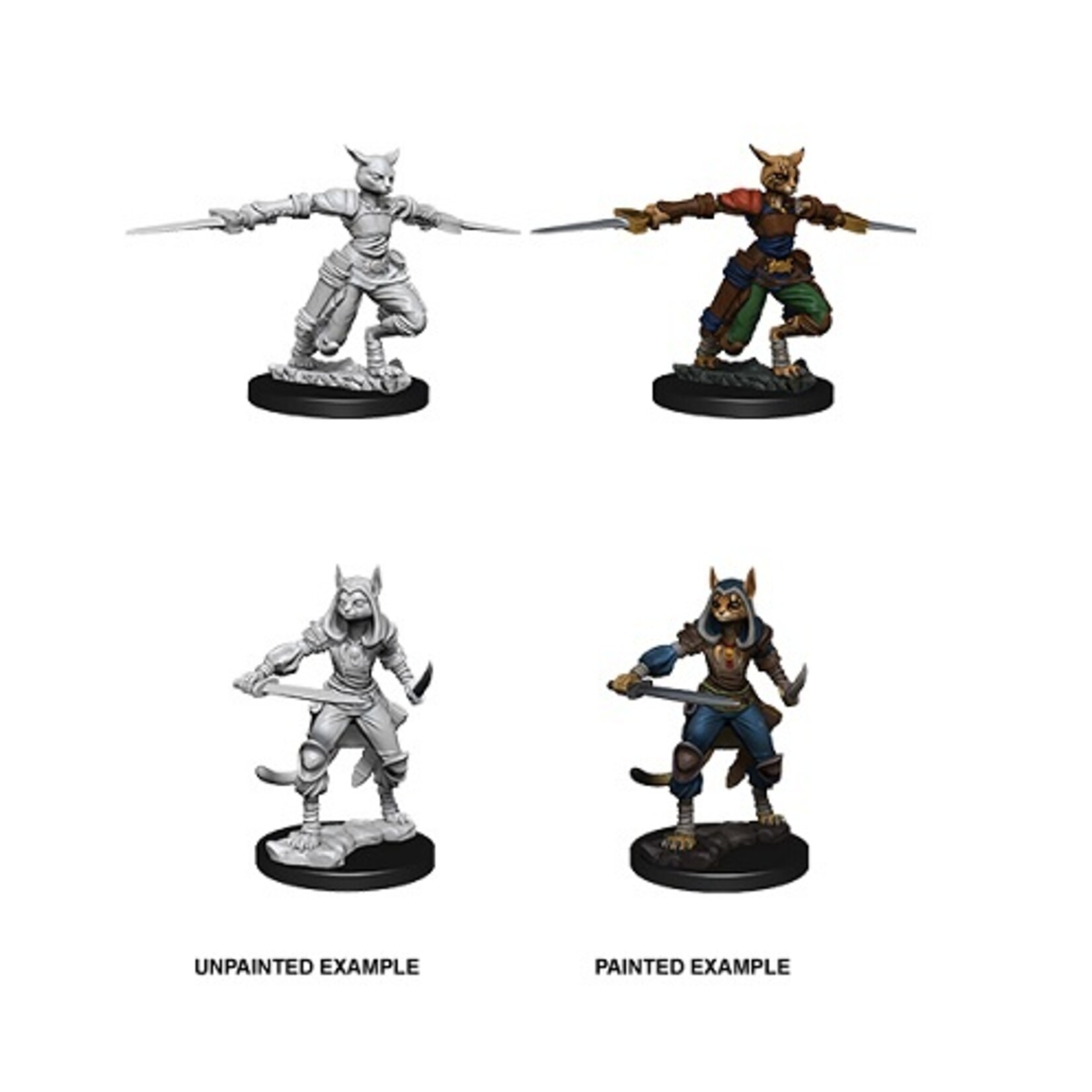 Wizkids D&D Nolzur's Marvelous Miniatures Tabaxi Rogue, Female